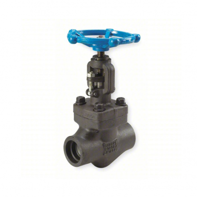Válvula globo acero carbón socket well